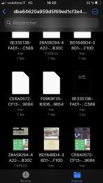 0B9D9936-CE16-4723-8539-81B0777859AB.png